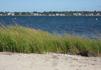 beach photo